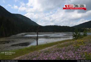 Julska razglednica: Zminičko jezero (Durmitor)