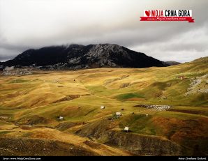 Jesen na Lukavici: Borovnik