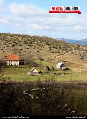 Crnogorsko selo: Crkvičko Polje (Plužine)