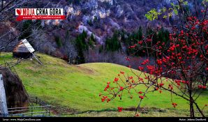 Crnogorsko selo Sokolac (Bijelo Polje): Jesenja razglednica