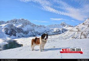 Jezero Suva lokva (Durmitor): Sniježna novembarska panorama