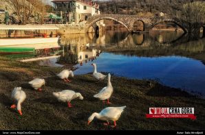 Prvi dan proljeća: Rijeka Crnojevića